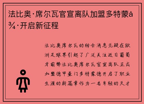法比奥·席尔瓦官宣离队加盟多特蒙德开启新征程