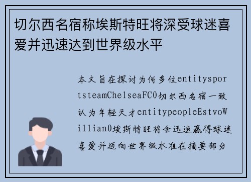 切尔西名宿称埃斯特旺将深受球迷喜爱并迅速达到世界级水平